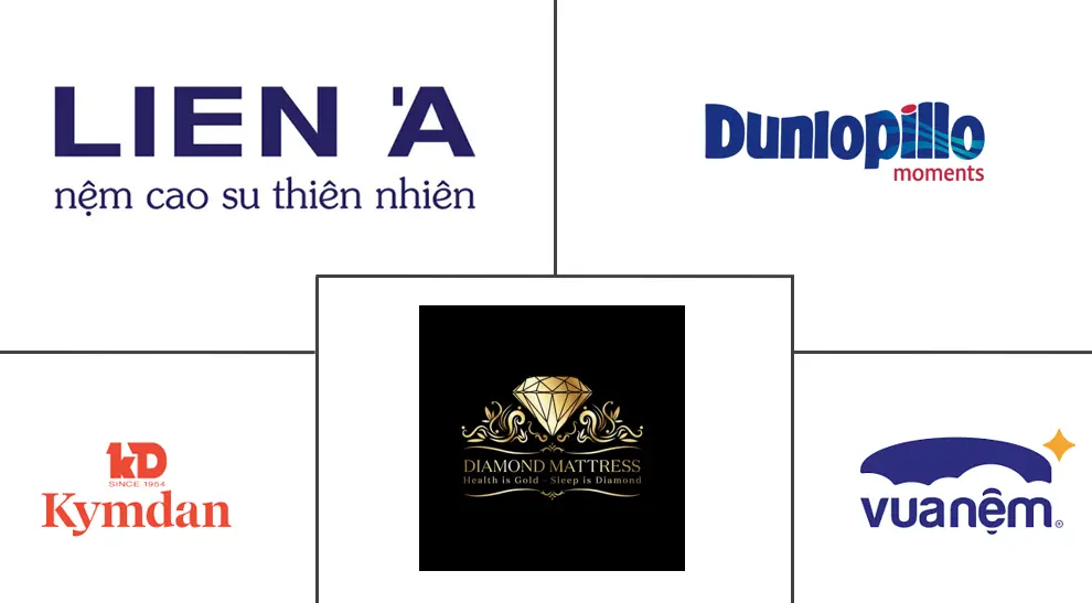 越南床垫市场规模及份额