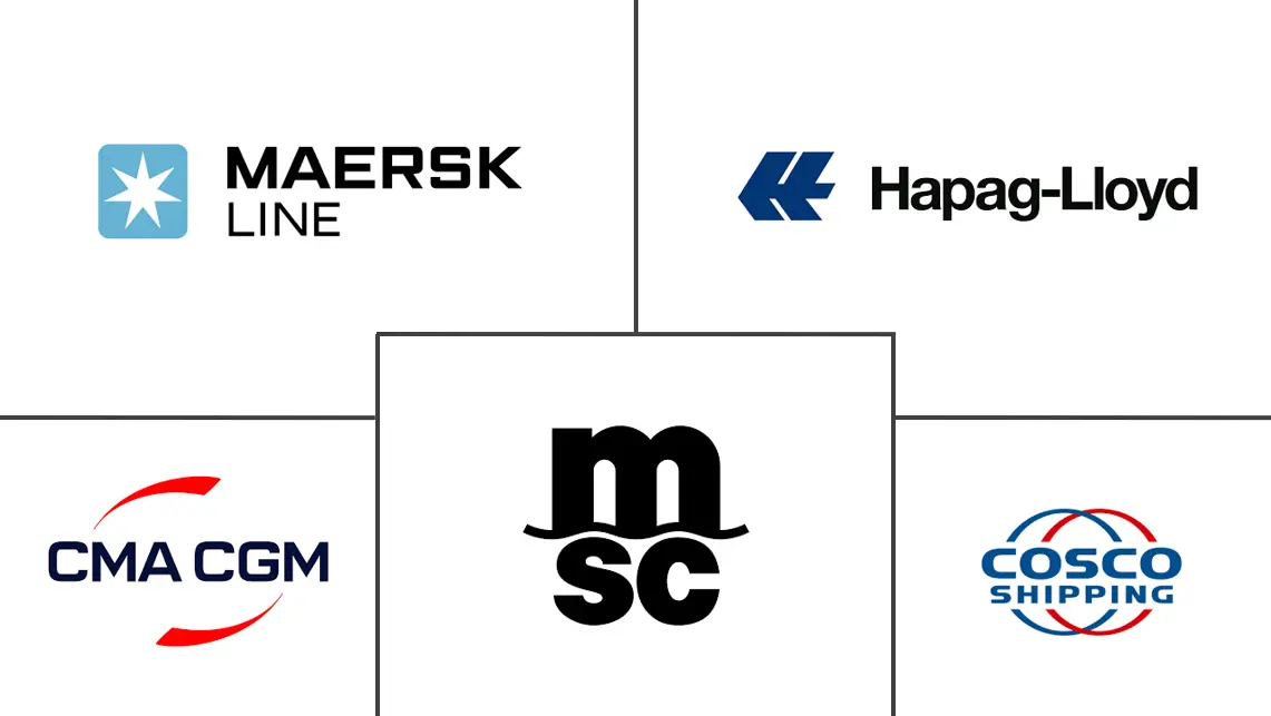 散杂货运输市场规模