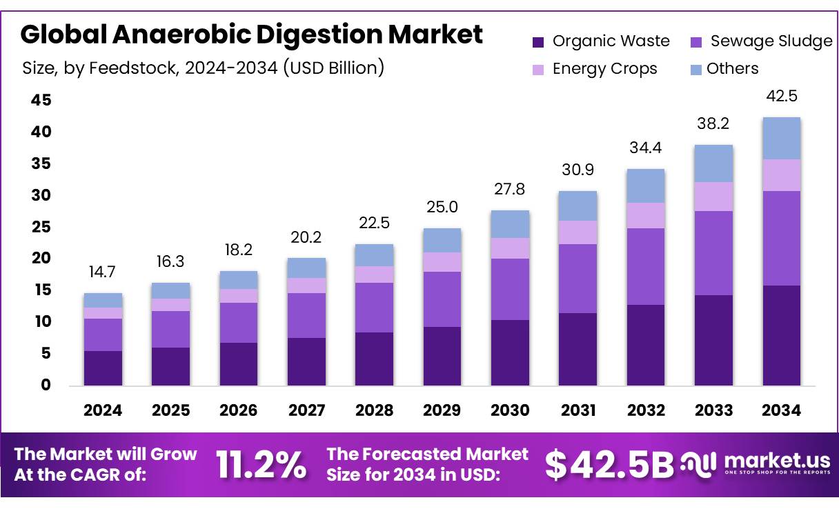 厌氧消化市场(2025-2034)