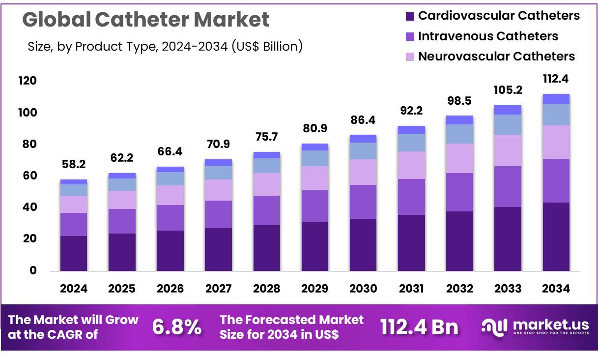 导管市场(2025-2034)
