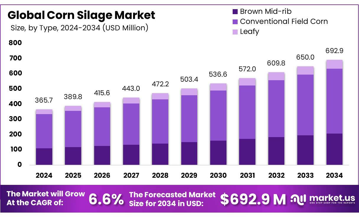 玉米青贮市场(2025-2034)