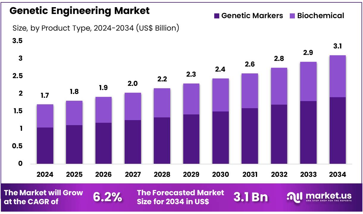 基因工程市场(2025-2034)
