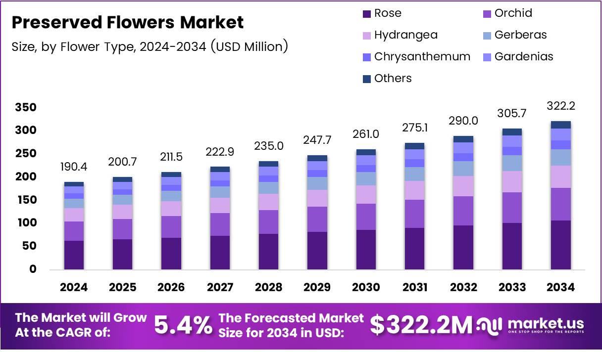 永生花市场(2025-2034)