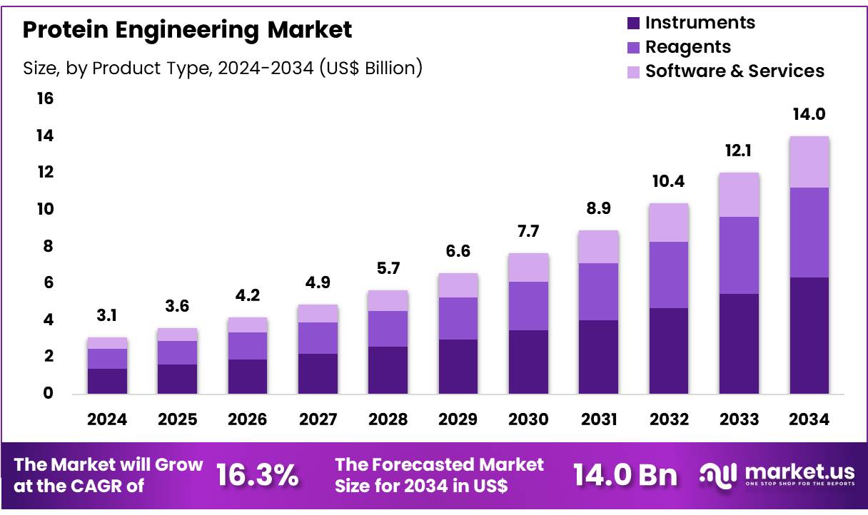 蛋白质工程市场(2025-2034)