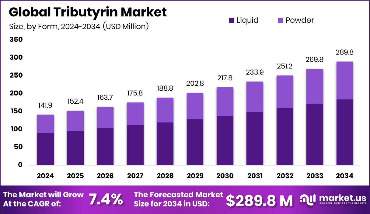 三丁酸甘油酯市场(2025-2034)
