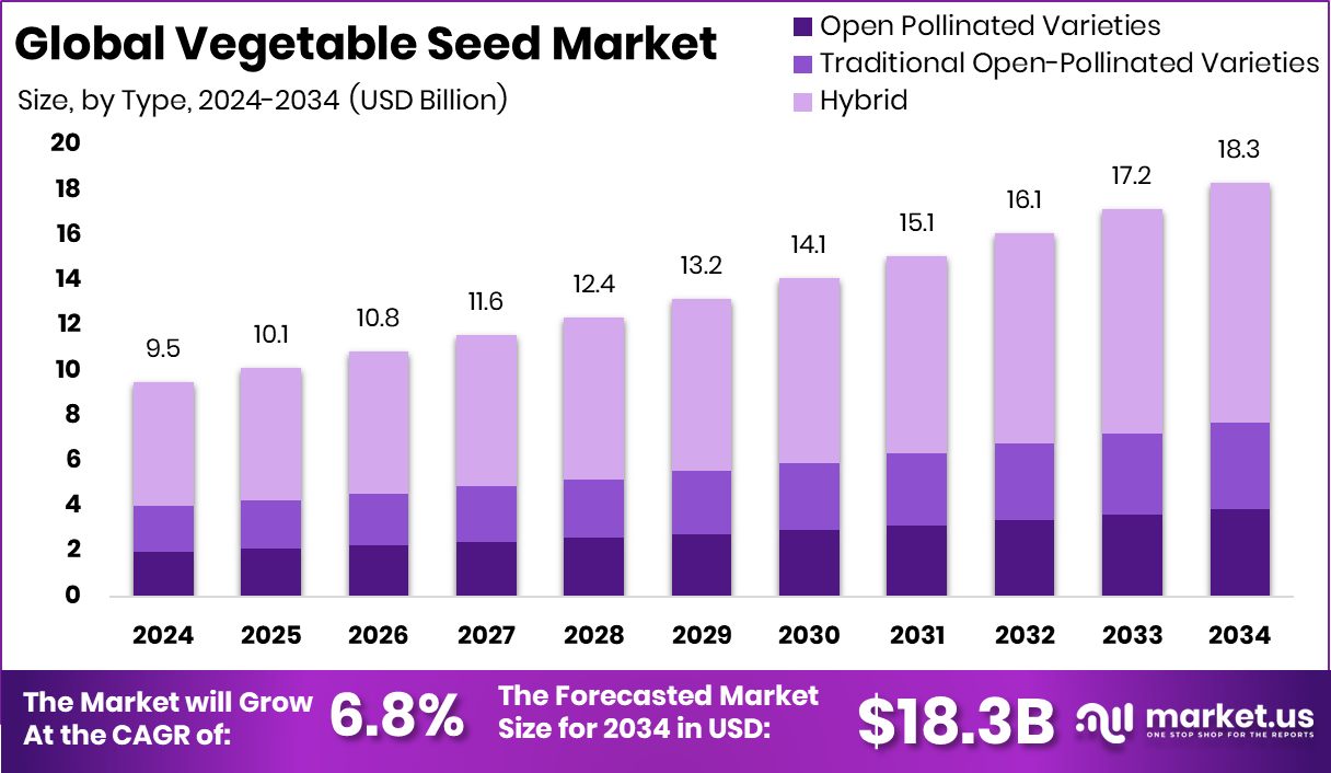 蔬菜种子市场(2025-2034)