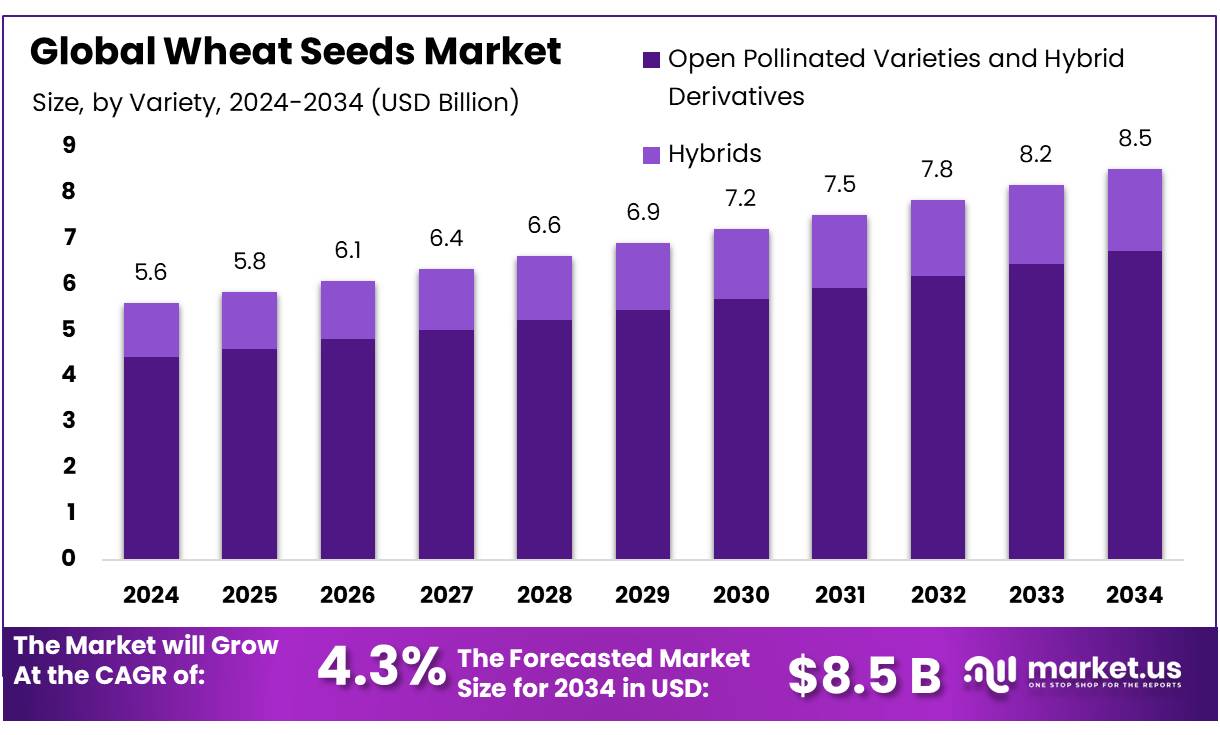 小麦种子市场(2025-2034)