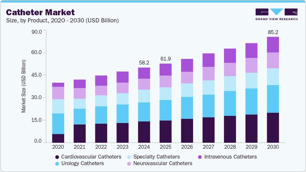 导管市场（2025 - 2030）