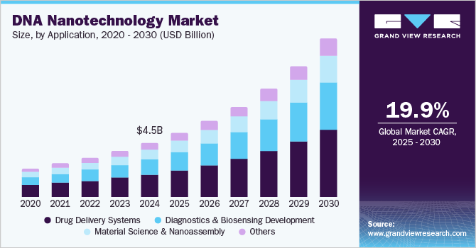 DNA 纳米技术市场 (2025 - 2030)