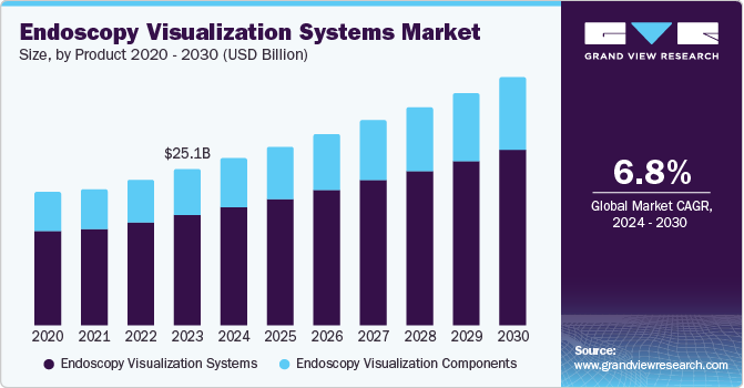 内窥镜可视化系统市场（2024 - 2030）