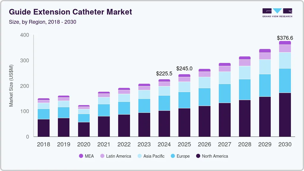 引导延长导管市场（2025 - 2030）