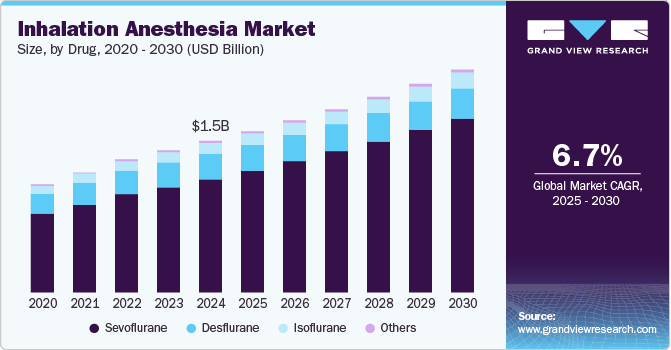 吸入麻醉市场（2025 - 2030）