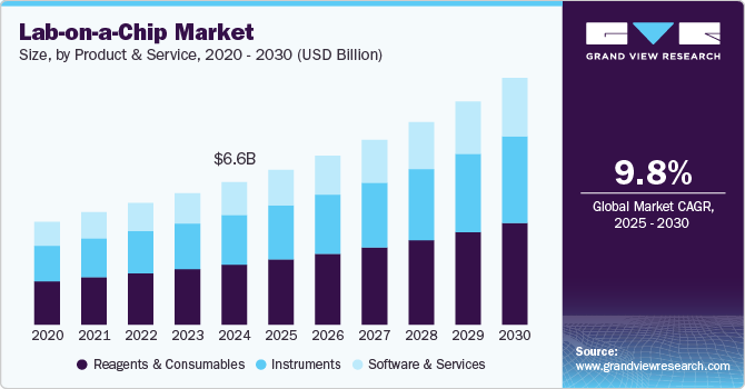 芯片实验室市场（2025 - 2030）