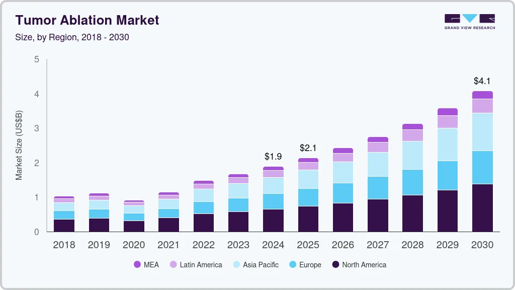 肿瘤消融市场（2025 - 2030）