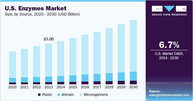 美国酶市场（2024 - 2030）