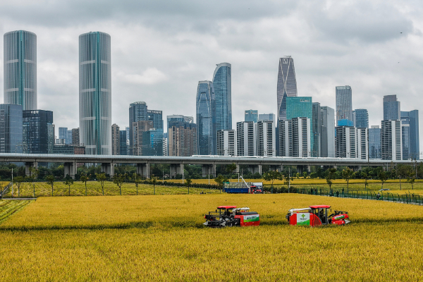 杭州成中国机器人与人工智能“摇篮(图1)