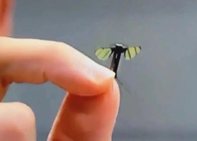 中国“蚊子”机器人横空出世,悄无声息潜入侦察(图1) 中国“蚊子”机器人横空出世,悄无声息潜入侦察(图1)