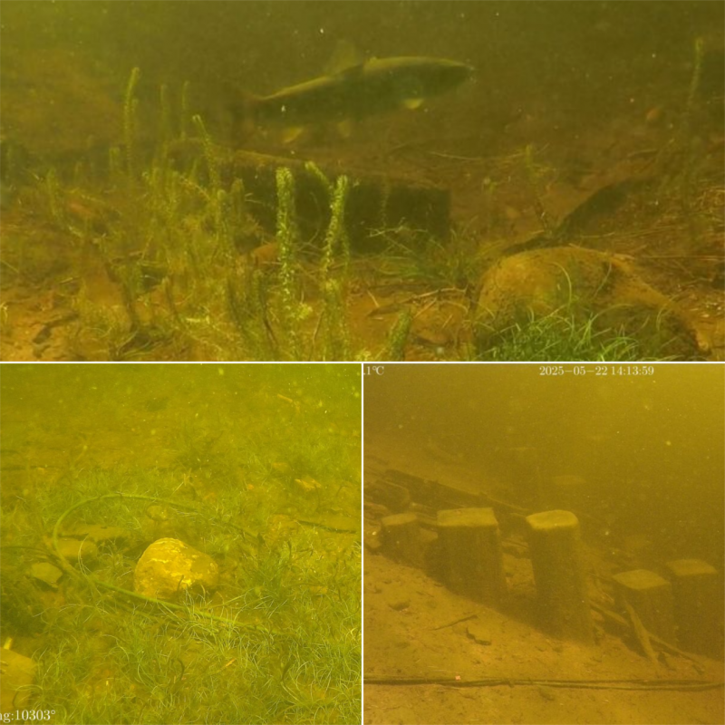 水下机器人首探尼斯湖，科技为百年"水怪传说"提供新解(图1)