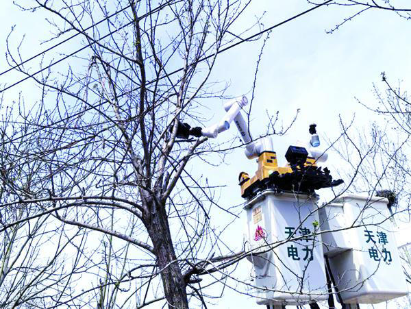 全市首次应用机器人进行带电修剪树枝作业 全市首次应用机器人进行带电修剪树枝作业(图1)