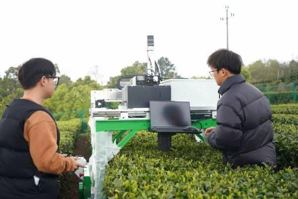 重庆邮电大学研发采茶机器人,2秒摘一叶,精准高效解行业之痛 重庆邮电大学研发采茶机器人,2秒摘一叶,精准高效解行业之痛(图2)