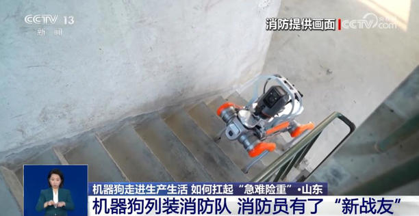 火场救援、南极作业、陪伴护理……这个“机器狗”，大有来头(图1)