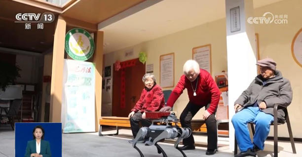 火场救援、南极作业、陪伴护理……这个“机器狗”，大有来头(图2)