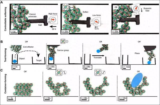 科学家开发出可像流体一样流动或集体组装成固体形状的微型机器人(图1)