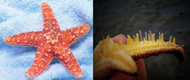 中国空间站舱内机器人试验大揭秘：管道检测如何“机智”进行？(图3)