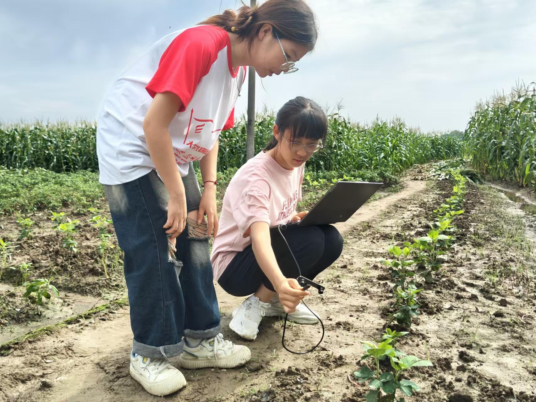 激光除草机从实验室走进田间地头——安师大“草影无踪”大学生团队科研项目获奖(图2)