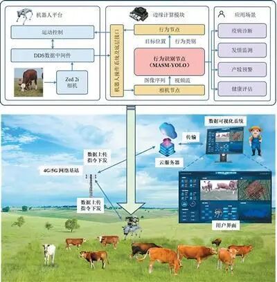 放牧机器人“慧眼识牛”(图1)