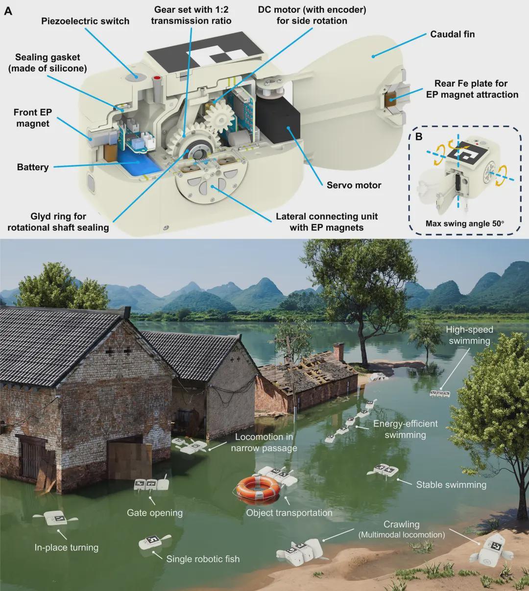  北京大学谢广明教授团队最新《Science Advances》研究成果：能“装”会“拼”的机器鱼，拓展水下机器人能力的新边界(图1)