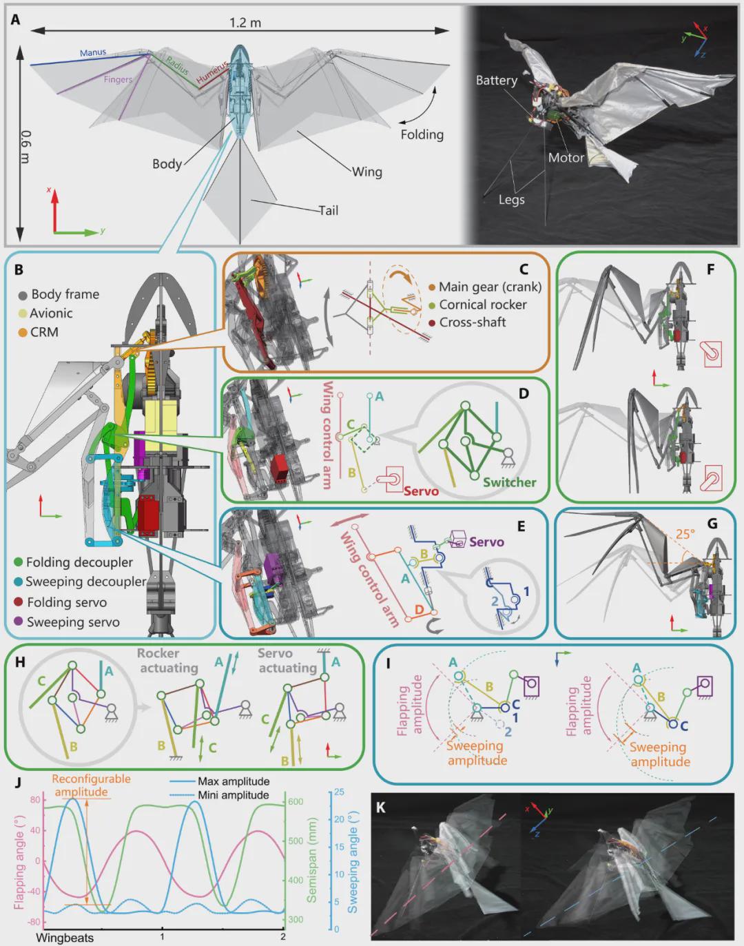 《Science Advances》发表！西工大顶刊发布可重构机翼驱动方案，实现让扑翼机器人真正像鸟一样起飞、飞行！(图3)