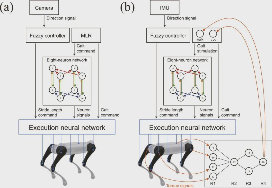 IJRR发表！浙大曲绍兴团队利用八神经元CPG破解四足机器人“步态困局”(图8)