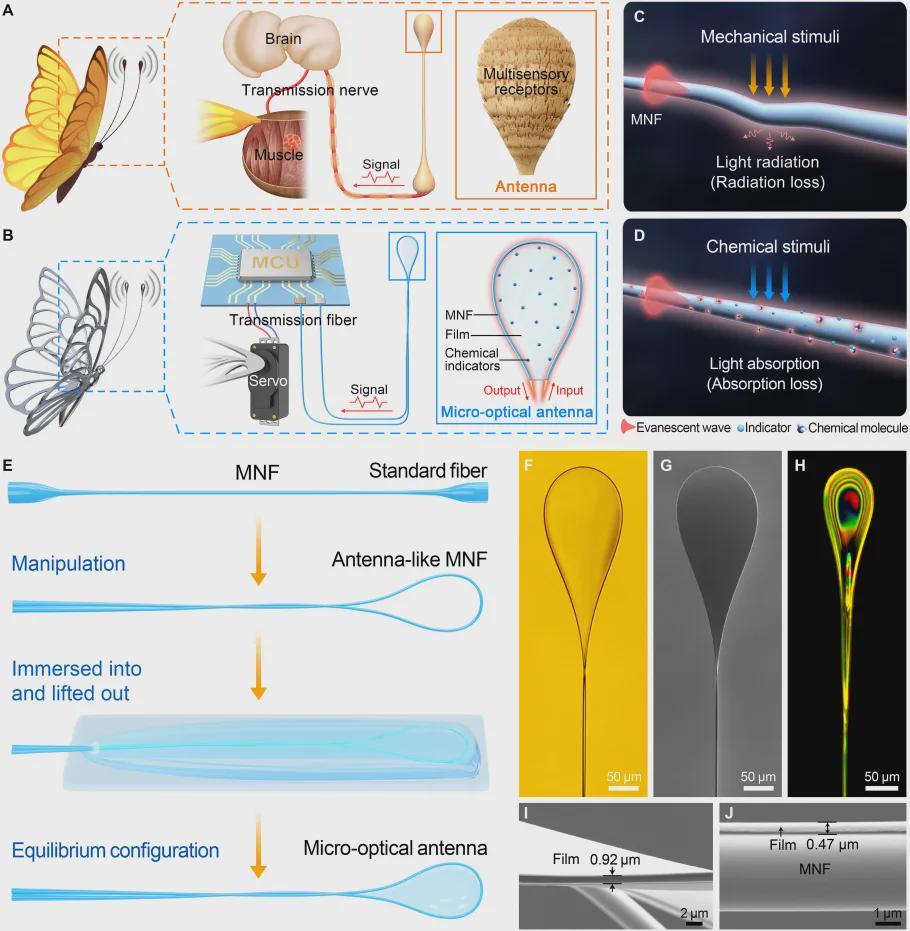 昆虫触角附体，机器人长出感知超能力！浙大仿生微光学天线登《Science》子刊(图2)