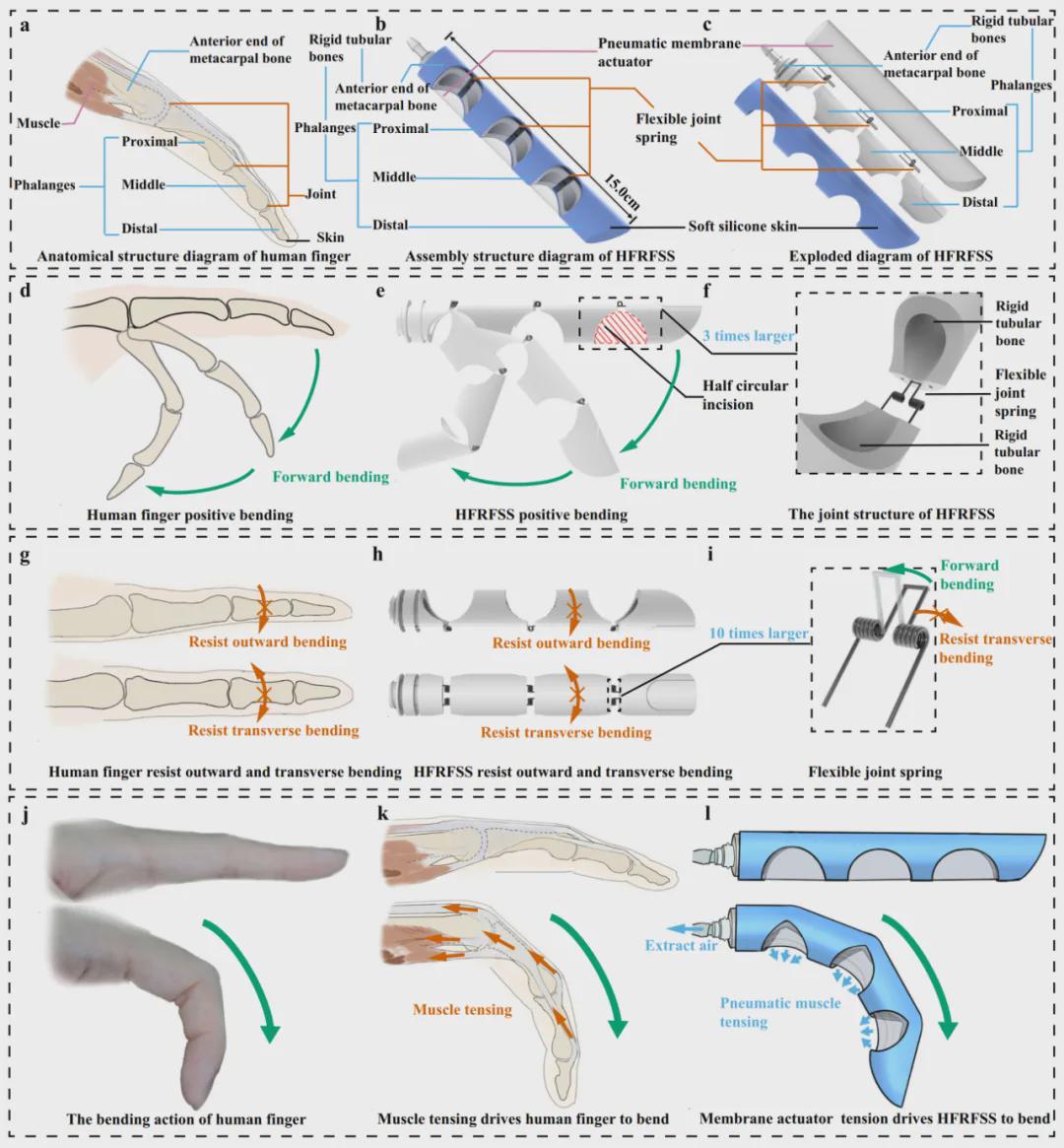 Nature子刊发表！中国地质大学团队研发刚-柔-软结构仿人手指，既能托举20倍自重，也能无损拿捏豆腐蛋黄(图2)