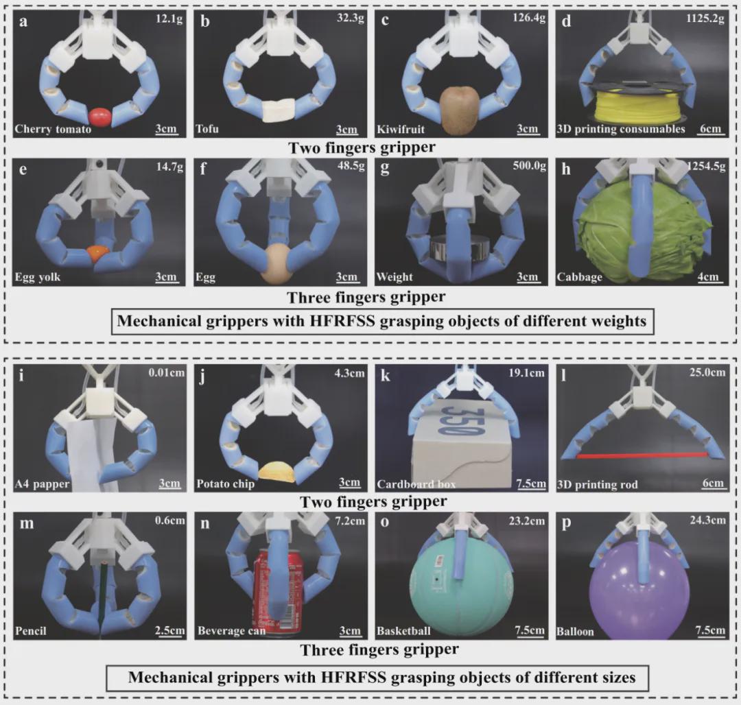 Nature子刊发表！中国地质大学团队研发刚-柔-软结构仿人手指，既能托举20倍自重，也能无损拿捏豆腐蛋黄(图3)