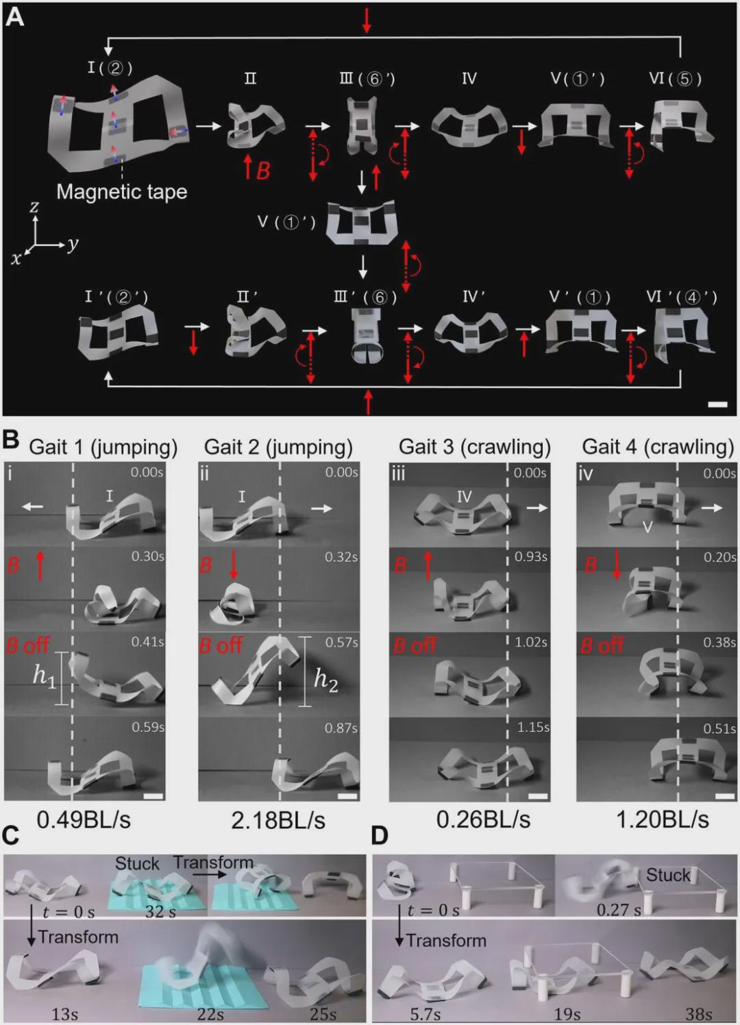 《Sci.Adv.》收录，北卡州立大学提出多稳态元结构实现突破：单一薄膜单元呈现二十种稳态，机器人变形效率倍增(图7)