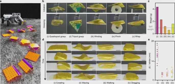 电阻网络+折纸力学，这款可编程折叠组件让机器人拥有了“形态自由”(图7)