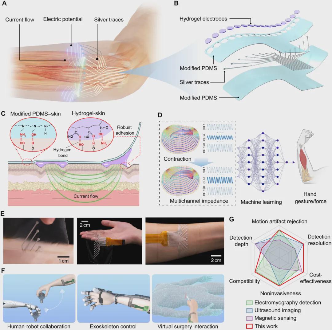 Science Advances发表！南洋理工大学推出头发丝薄度传感器FMEIS，让机器秒懂肌肉「微表情」(图2)