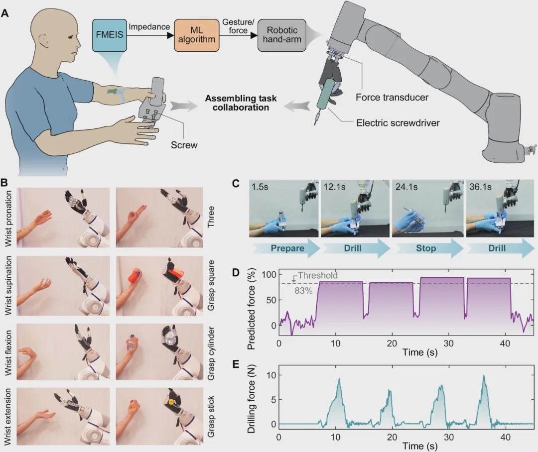 Science Advances发表！南洋理工大学推出头发丝薄度传感器FMEIS，让机器秒懂肌肉「微表情」(图6)