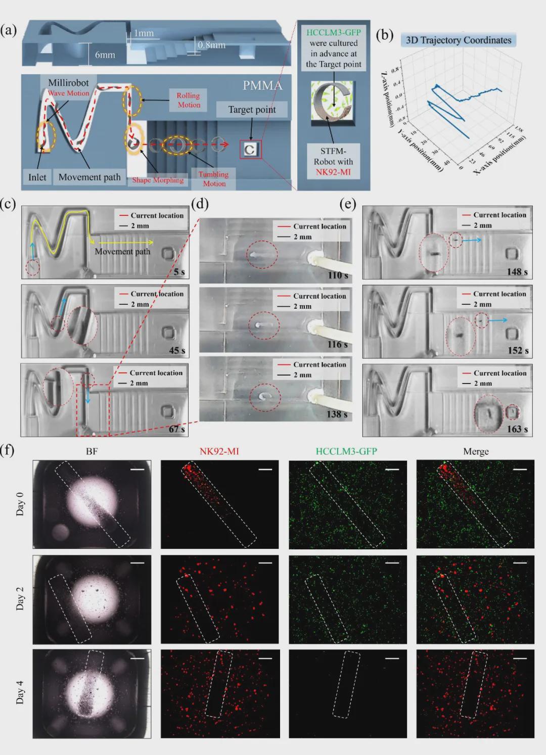 受海洋蛞蝓启发的微型“变形金刚”？北理工团队TRO发表双稳态软体微机器人，实现复杂狭缝地形自由穿梭！(图11)