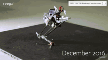 一条腿的机器人如何实现“松鼠级跑酷”？| Science Robotics揭秘自然界奥秘(图1)