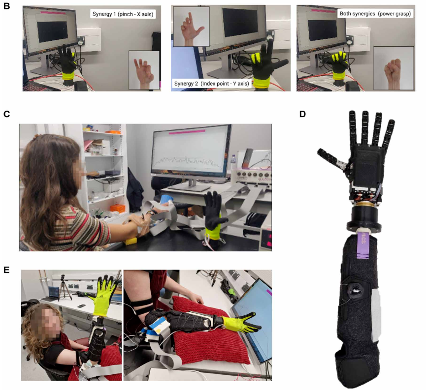  ​Science Robotics新成果 | 多国团队联合打造自然仿生假肢接口(图5)