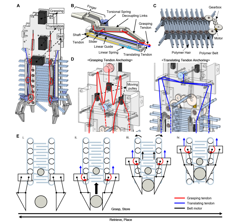  Science Robotics | 仿生手一次抓多个物体，且像人手一样灵活存储、放置(图3)