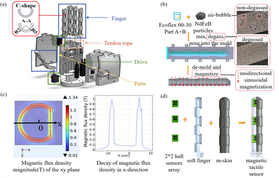  柔性仿人手指全覆盖磁皮肤，具备接触觉和运动觉的双模态感知能力(图1)