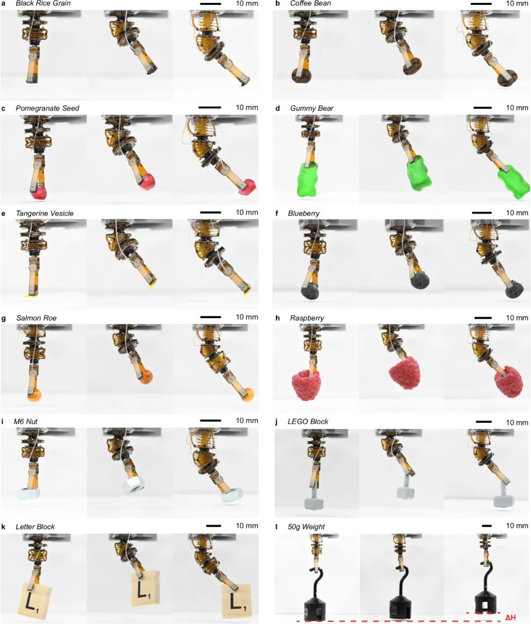 波士顿大学研究团队打造毫米级自感知软刚混合机器人 解决小型软机器人制造与集成难题(图6)