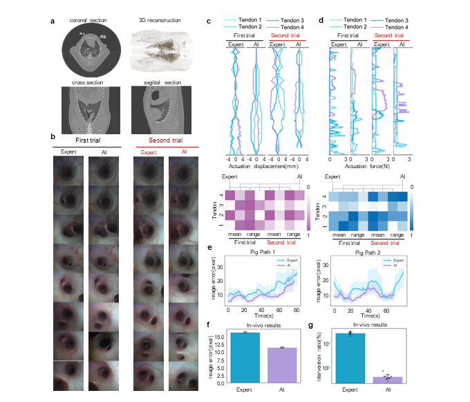 浙江大学控制科学与工程学院陆豪健、王越团队在《Nature Communications》上发表人工智能辅助驾驶气管镜机器人研究成果(图4)
