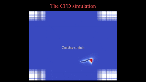 华南理工团队发布可指导仿生机器鱼步态设计的多模态统一运动学模型(图6)