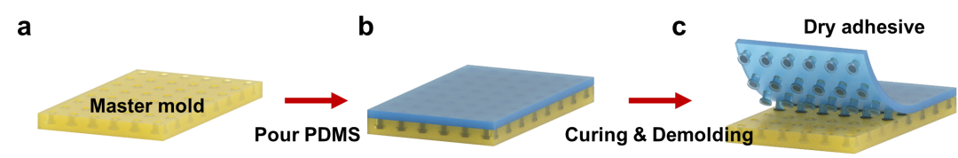 受壁虎启发 最新真空软驱动器 能够实现易碎物体的抓取与放置(图2)