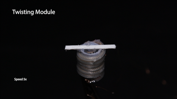 中国学者研发微型变形机器人登Nature子刊，能跑、能爬、又能游！(图8)